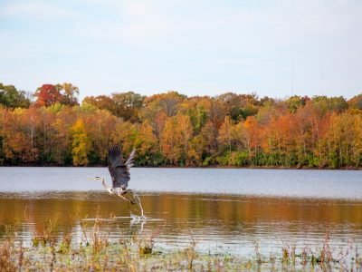 Art and Nature Park: Fall